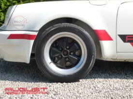 Porsche 911 Rally ” 3.0 RS Spec ” Gr4 1974